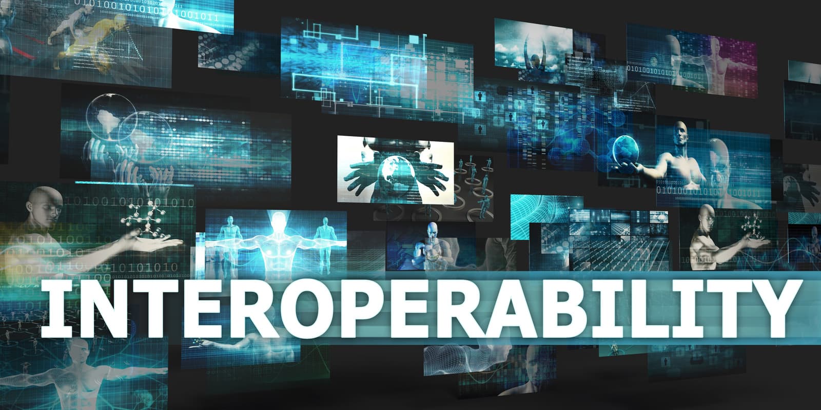 Import and interoperability